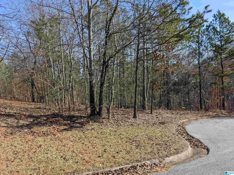 0 (Lot 241) WINFREY LANE, Anniston, AL 36206 - Image #3
