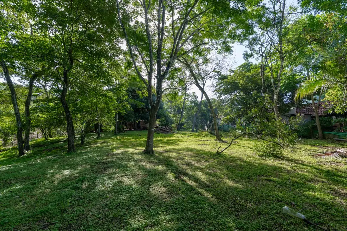 TRACT 93 The Farm @ Stallard Springs, Shelbyville, KY 40065 - #1