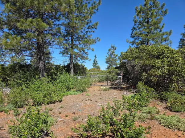 Lot 2 Eleanor Way, Shingletown, CA 96088