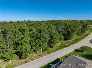 Lot #181 Irwin Drive, Gravois Mills, MO 65037 - #3