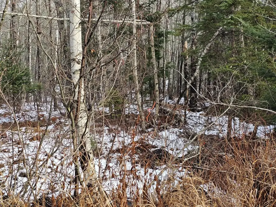 M2, L4 Off Sacarap Road, Columbia, ME 04623 - Image #2