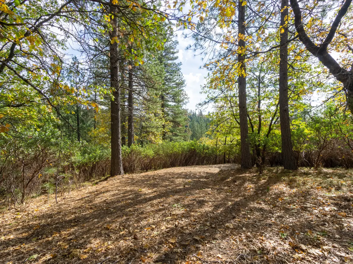 5031 Anne Louise Lane, Placerville, CA 95667 - Image #1