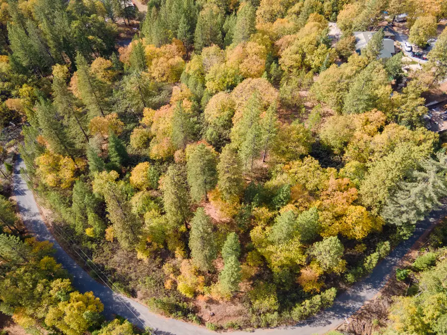 5031 Anne Louise Lane, Placerville, CA 95667 - Image #3