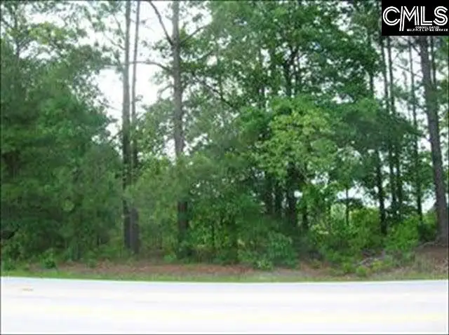 0 Rimer Pond Road, Blythewood, SC 29016 - #2