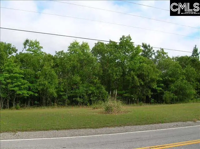 0 Rimer Pond Road, Blythewood, SC 29016 - #3