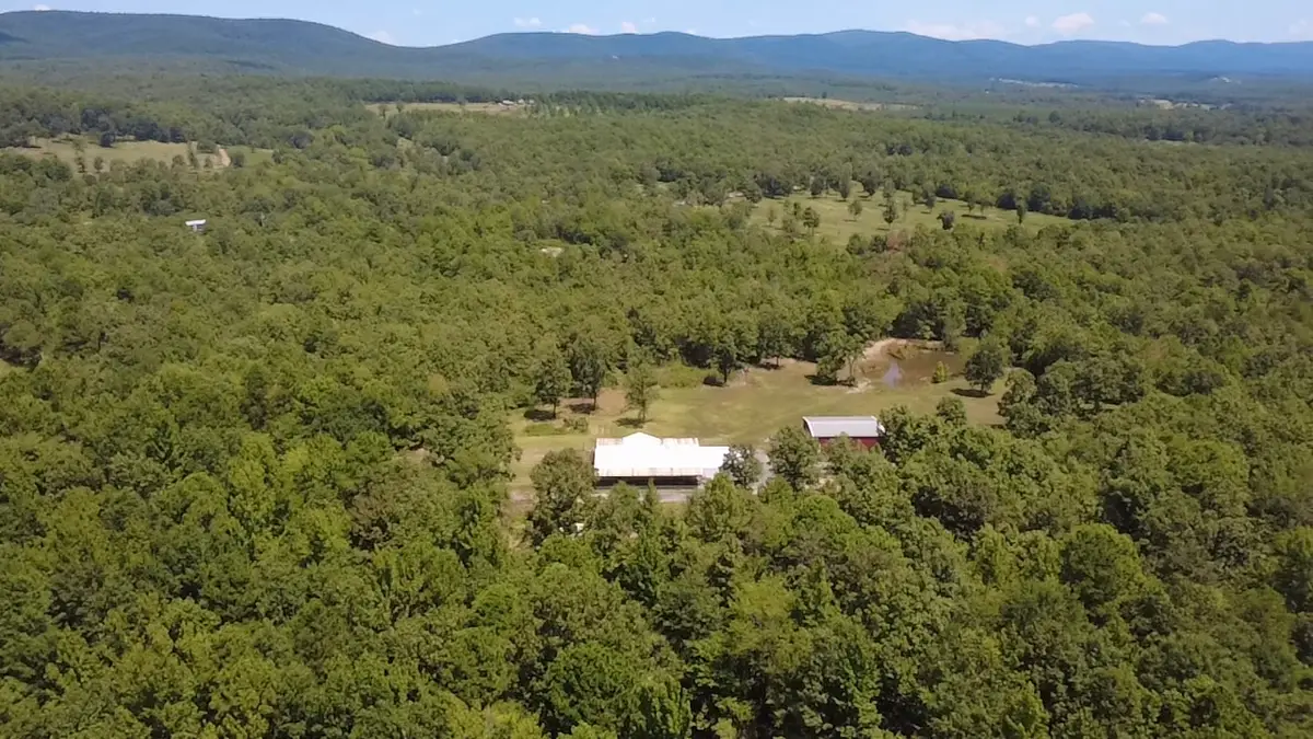 132 Polk Road 676, Mena, AR 71953 - #1