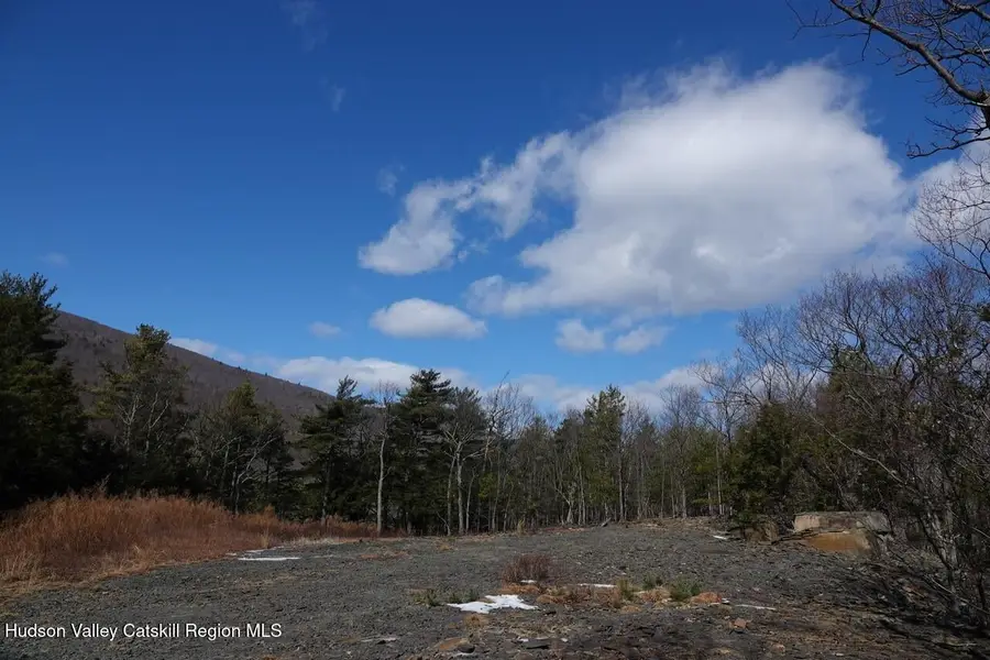 Tbd Manorville Road, Saugerties, NY 12477 - Image #3