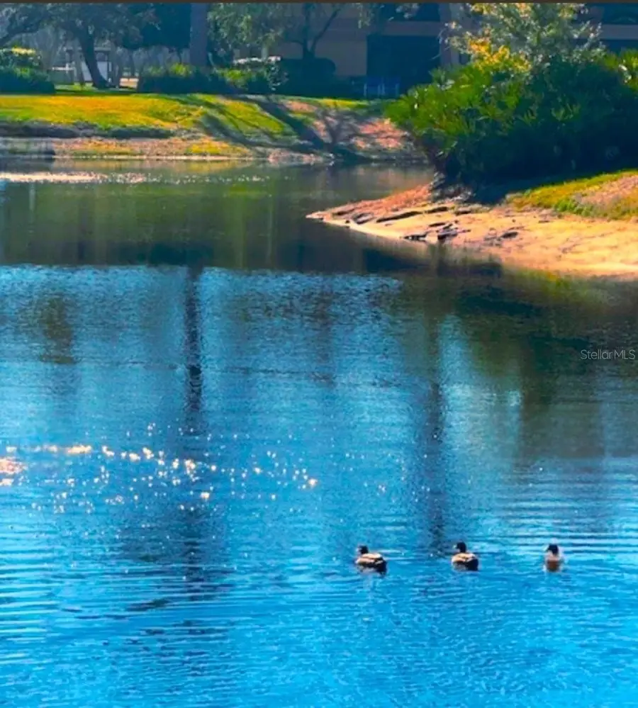 2661 SABAL SPRINGS CIRCLE #204, Clearwater, FL 33761 - #2