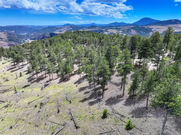 54 Holmes Gulch Rd, Bailey, CO 80421