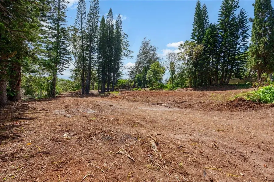 2175 Kauhikoa Rd #7, Haiku, HI 96708 - #3