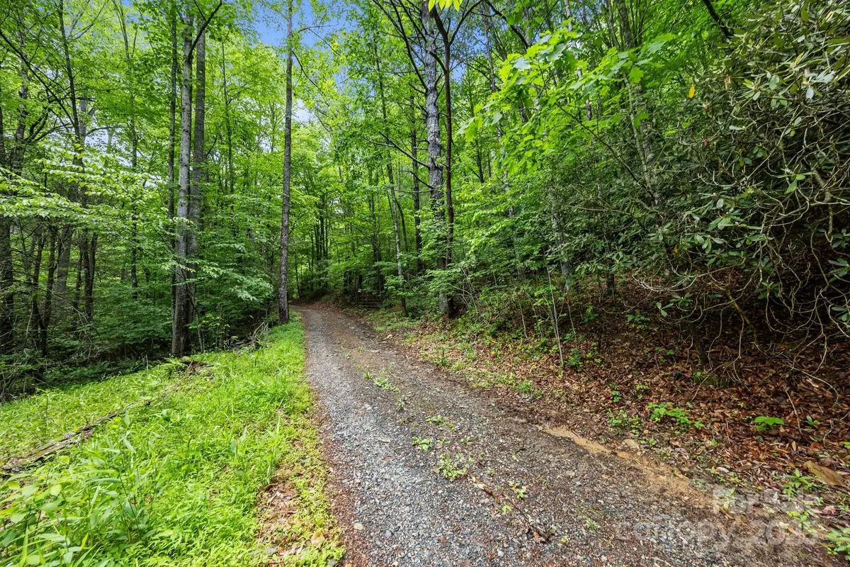 9999 Burnette Reeves Road, Leicester, NC 28748 - #1