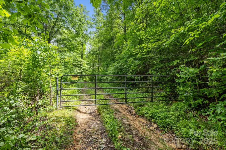 9999 Burnette Reeves Road, Leicester, NC 28748 - #3