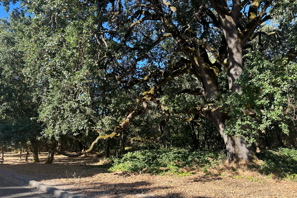 200 Napa Road, Sonoma, CA 95476
