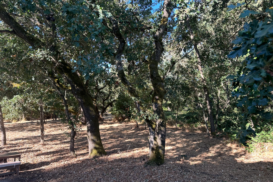 200 Napa Road, Sonoma, CA 95476 - #2