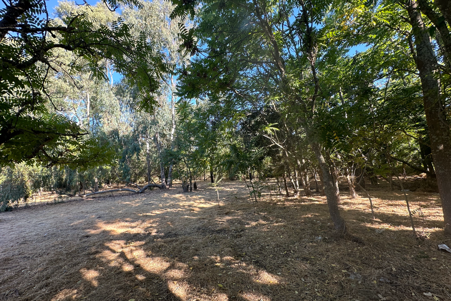 200 Napa Road, Sonoma, CA 95476 - #3
