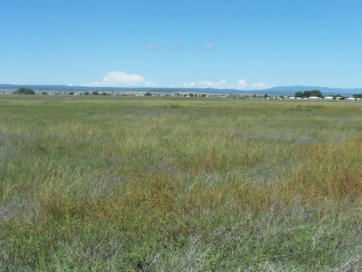 C. Del Sol A081/mulberry A146, McIntosh, NM 87032 - #1