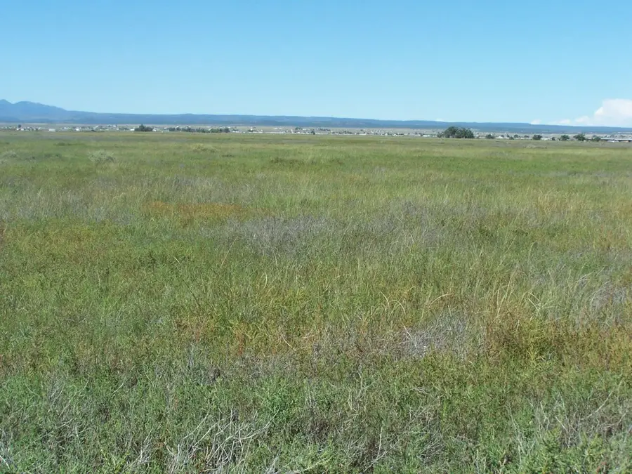 C. Del Sol A081/mulberry A146, McIntosh, NM 87032 - #2