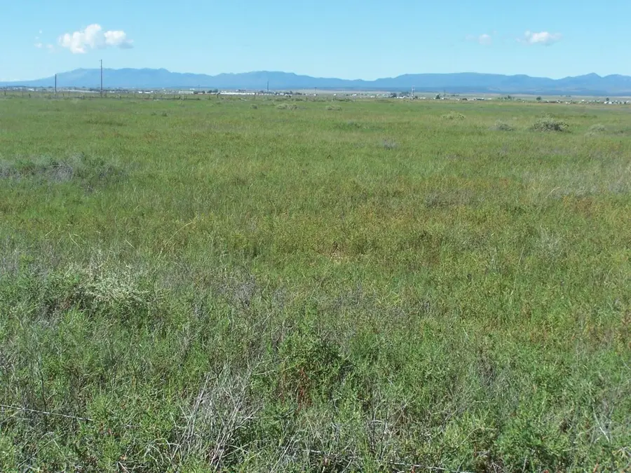 C. Del Sol A081/mulberry A146, McIntosh, NM 87032 - #3