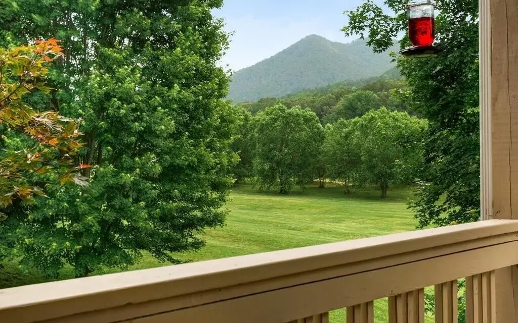 115 Country Club View, Hayesville, NC 28904 - #1