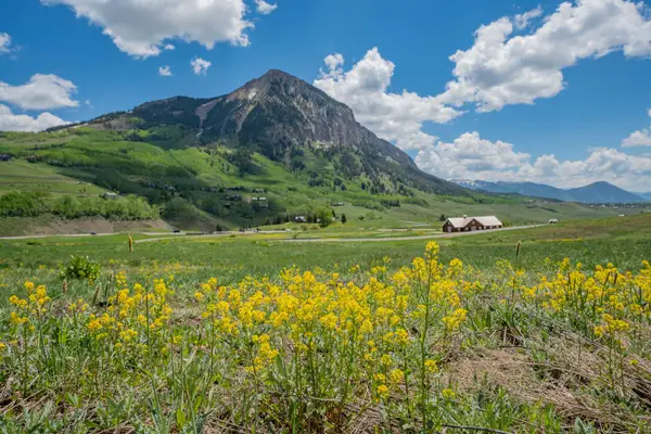 375 Saddle Ridge Ranch Road, Crested Butte, CO 81224
