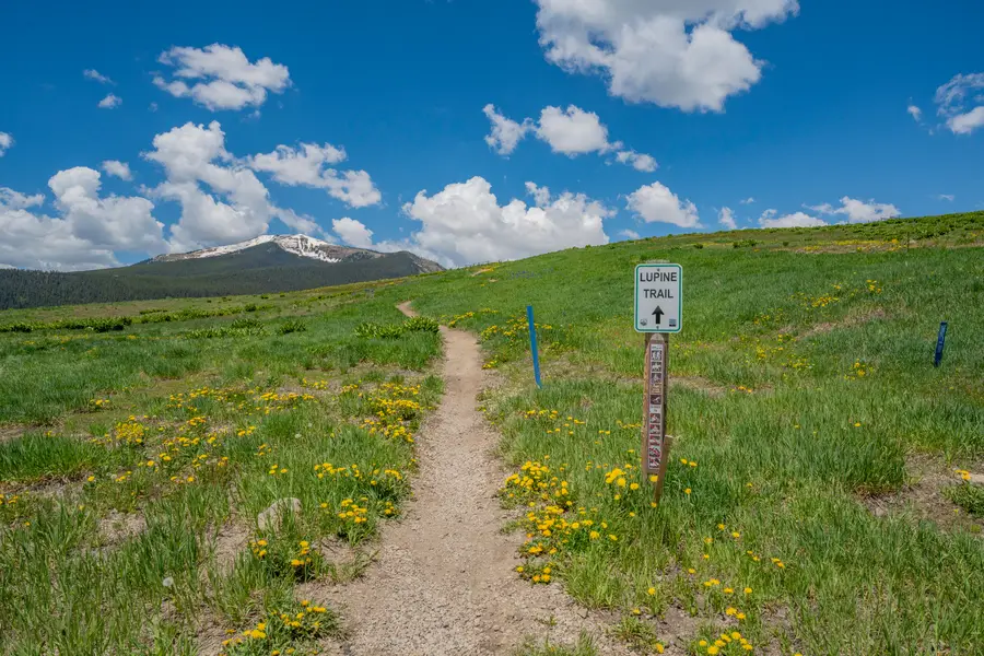 375 Saddle Ridge Ranch Road, Crested Butte, CO 81224 - #2