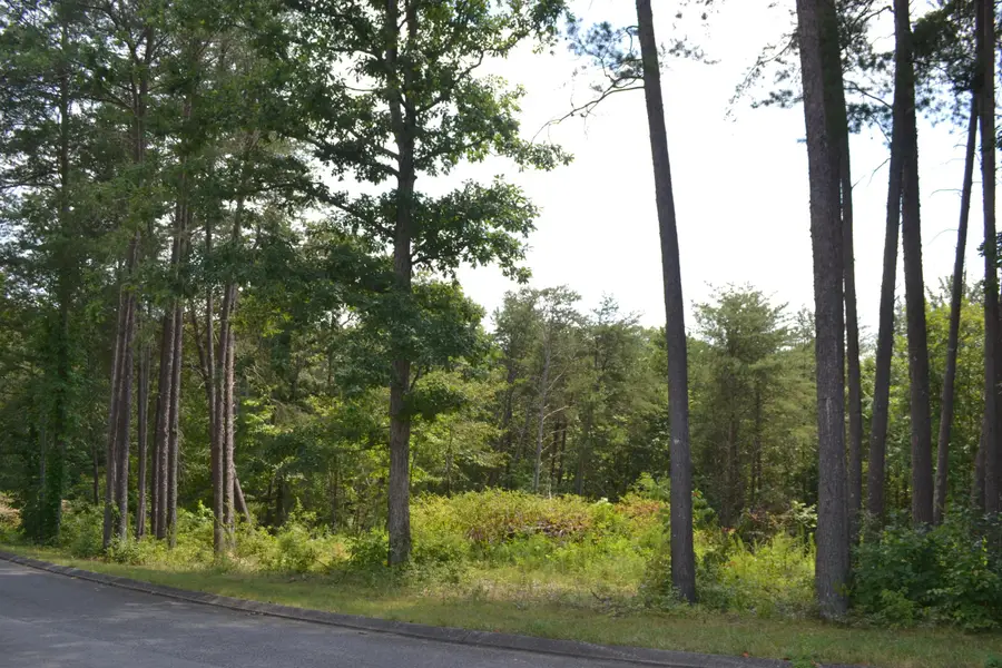 16 Countryside Drive, Dunlap, TN 37327 - Image #3