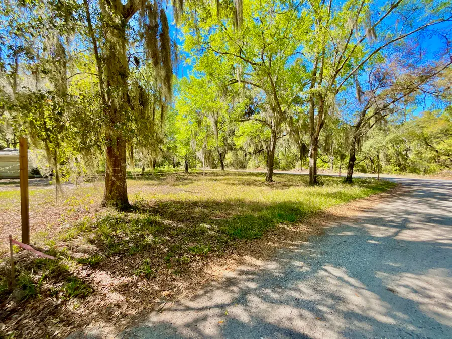 Lot 2 Se 16th Street, Melrose, FL 32666 - #3