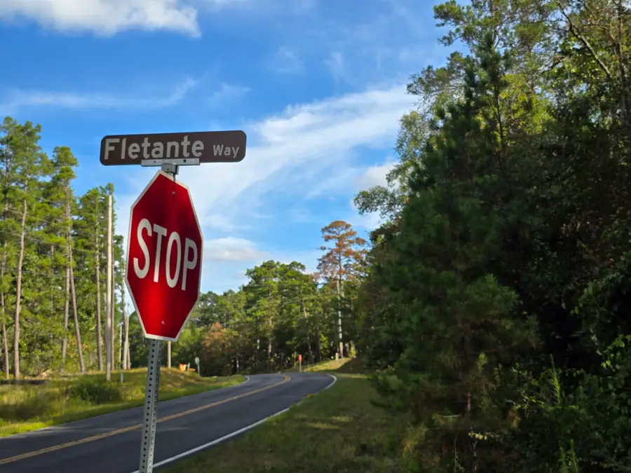 38 Fletante Way, Hot Springs Village, AR 71909 - Image #2