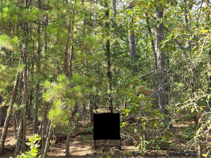 38 Fletante Way, Hot Springs Village, AR 71909 - Image #3