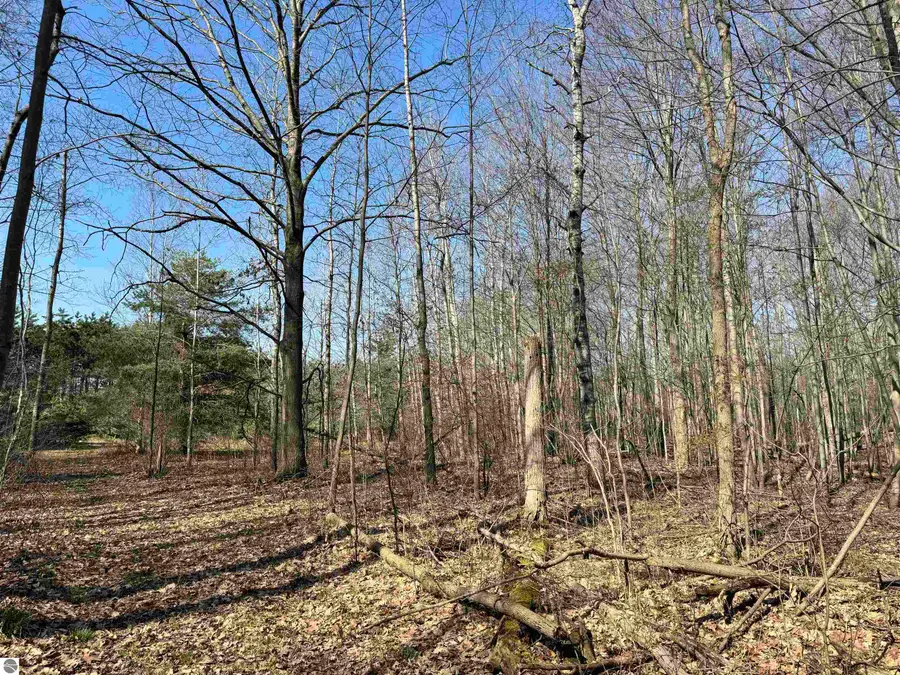 TBD N Loomis, Clare, MI 48617 - #3