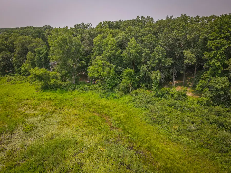 Colfax Park Road, Walkerville, MI 49459 - #3