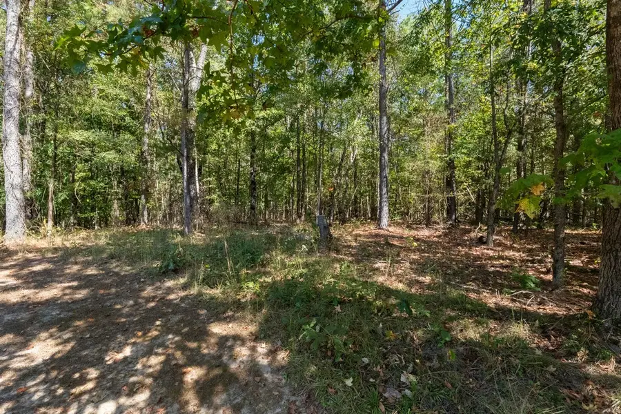2051 Co Rd 346, Florence, AL 35634 - #2