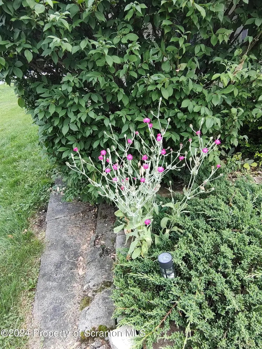 210 Wyalusing Street, Old Forge, PA 18518 - #2