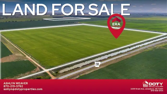 586 Acres Cr 153, Bono, AR 72416 - #1