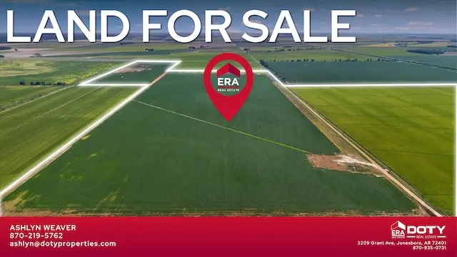 586 Acres Cr 153, Bono, AR 72416 - #2