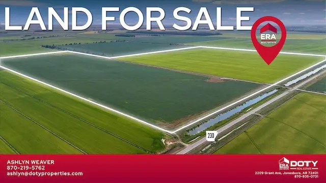 586 Acres Cr 153, Bono, AR 72416 - #3