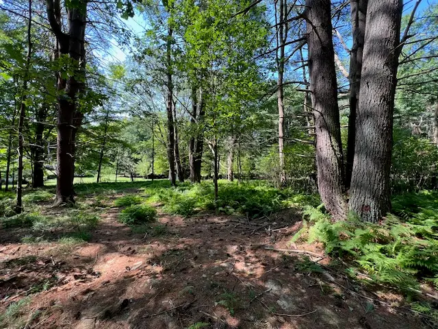 Lot 47.3 High Road, Glen Spey, NY 12737 - #1
