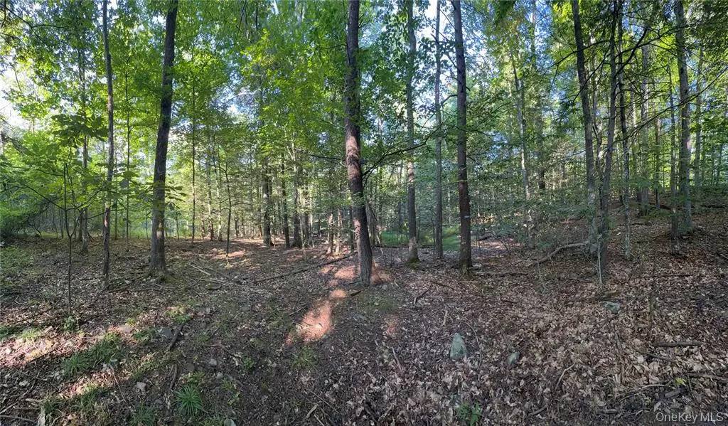 Tbd Hidden Court, Mount Tremper, NY 12457 - #1