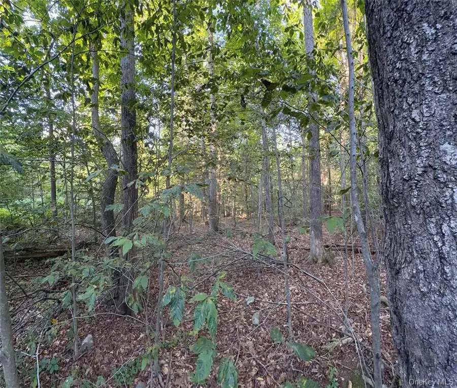 Tbd Hidden Court, Mount Tremper, NY 12457 - #2