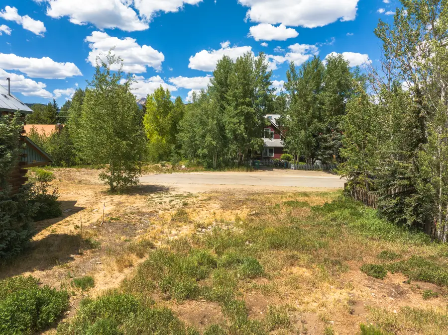 320 Gothic Avenue, Crested Butte, CO 81224 - #3