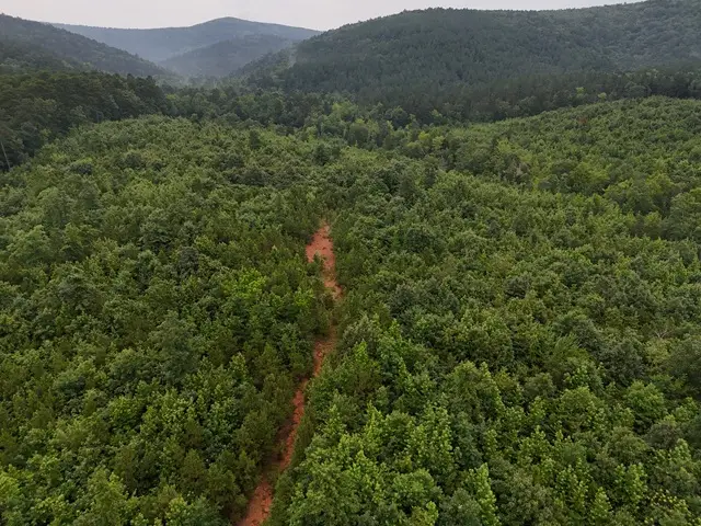 Unk Polk Road 72, Mena, AR 71953 - Image #2