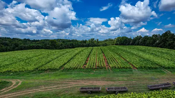 00 Nc Highway 150, Reidsville, NC 27320