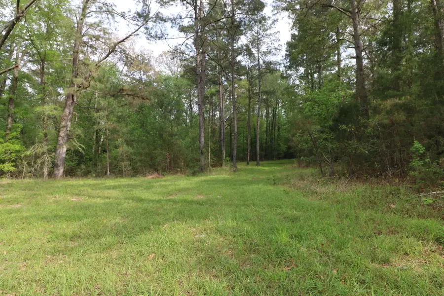 3659 Co Rd 1022, Newton, TX 75966 - Image #2