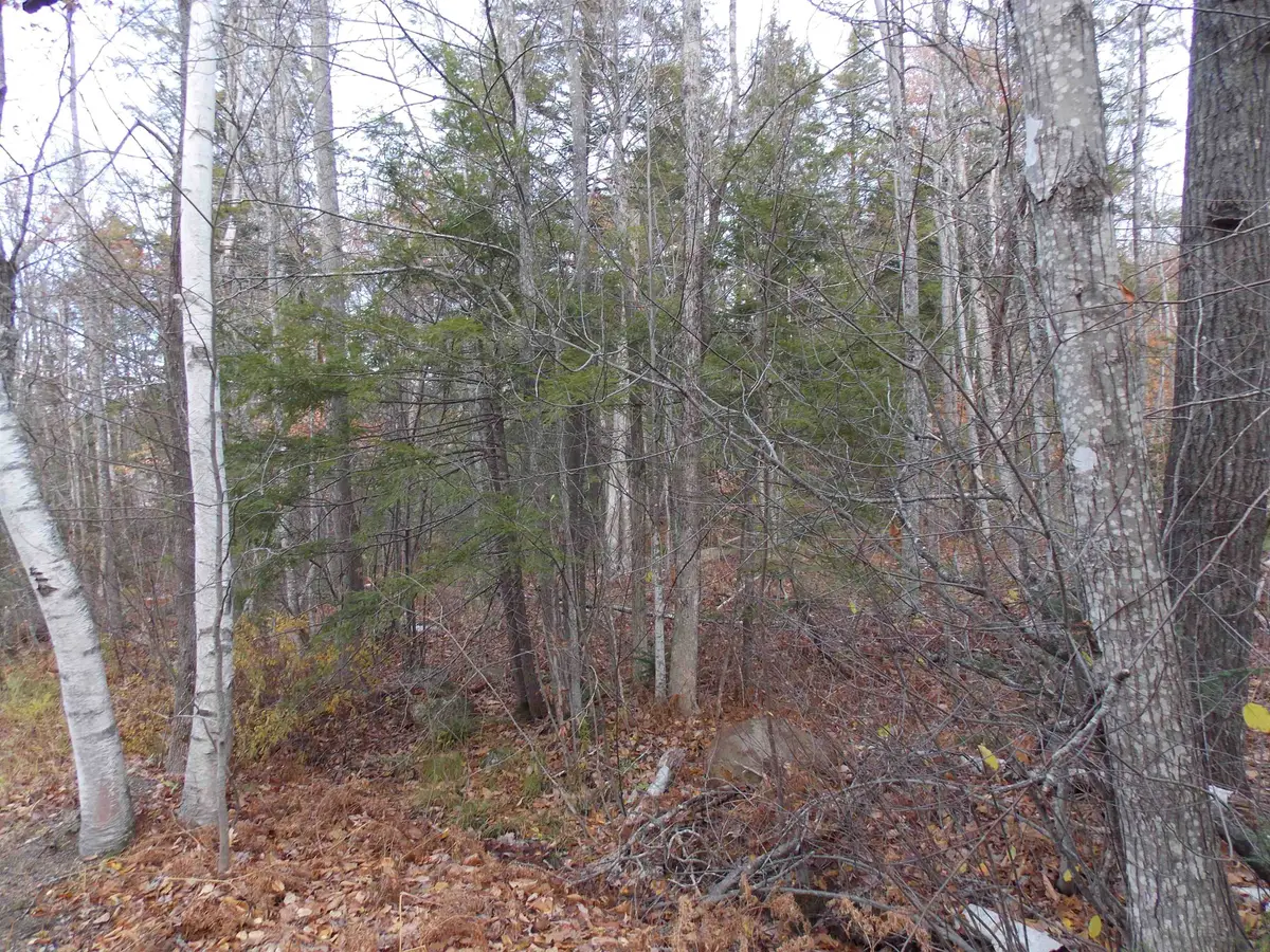 Lot 49 Mittenwald Strasse Road, Bartlett, NH 03812 - #1