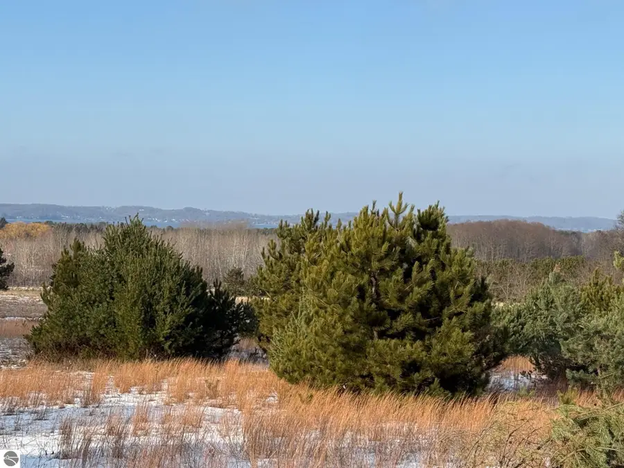 Helena RD, Alden, MI 49612 - #2