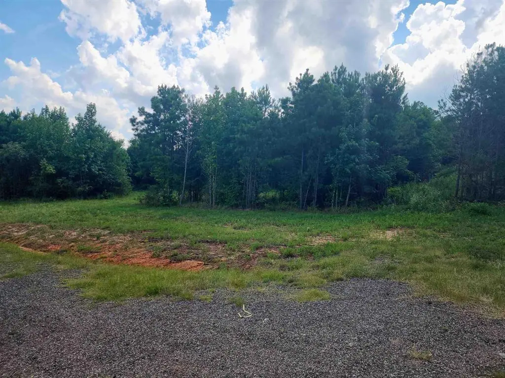 299 Private Road 3704, Hallsville, TX 75650 - #1