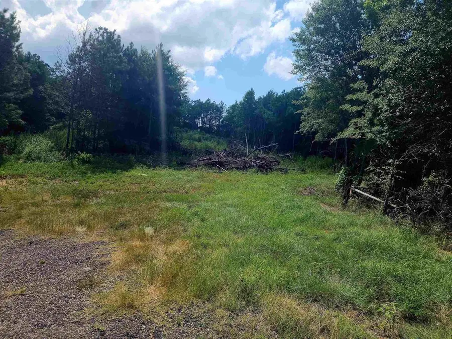 299 Private Road 3704, Hallsville, TX 75650 - #3