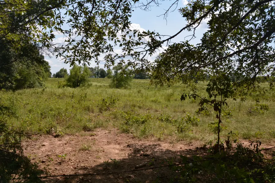 TBD Vz County Road 1821, Grand Saline, TX 75140 - Image #2