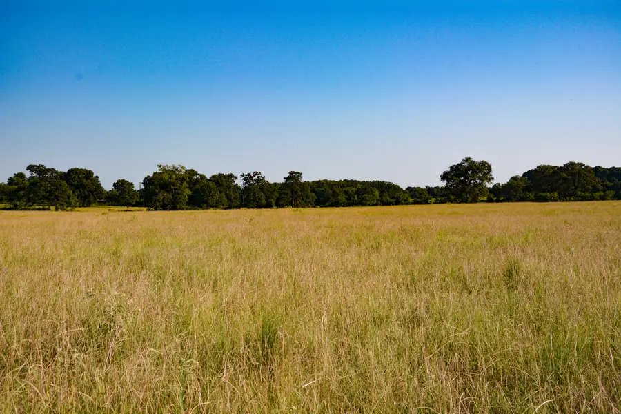 TBD Vz County Road 1821, Grand Saline, TX 75140 - Image #3