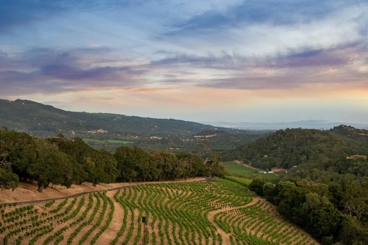 11420 White Fang Glen, Kenwood, CA 95452 - #1